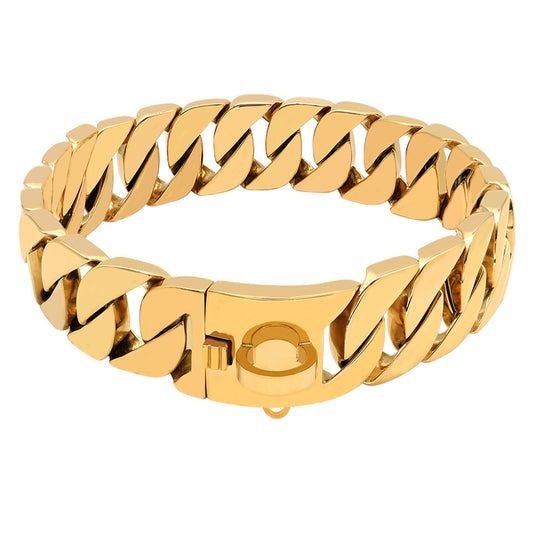 Stainless Steel Cast Dog Collar