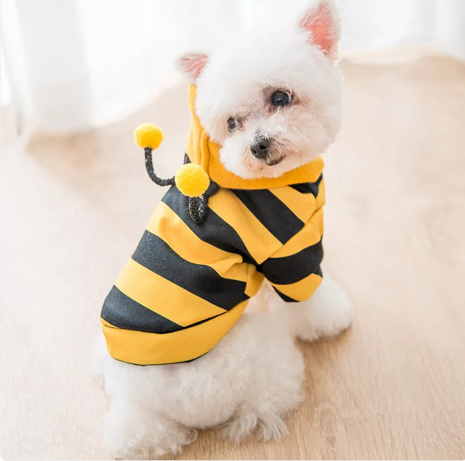 Cute BumbleBee Sweater
