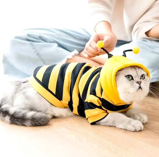 Cute BumbleBee Sweater